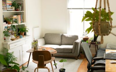 Eco-Friendly Home Remodeling Ideas for Galveston County, Texas